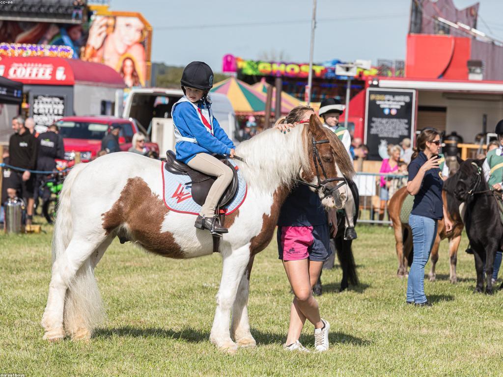 យុទ្ធសាស្ត្រល្បែង: ផ្លូវទៅកាន់ភាពជោគជ័យ